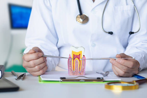 Best Broken Tooth Emergency  in Westchase, FL